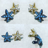 Earrings " The Different Sea Stars "