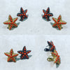 Earrings " The Different Sea Stars "